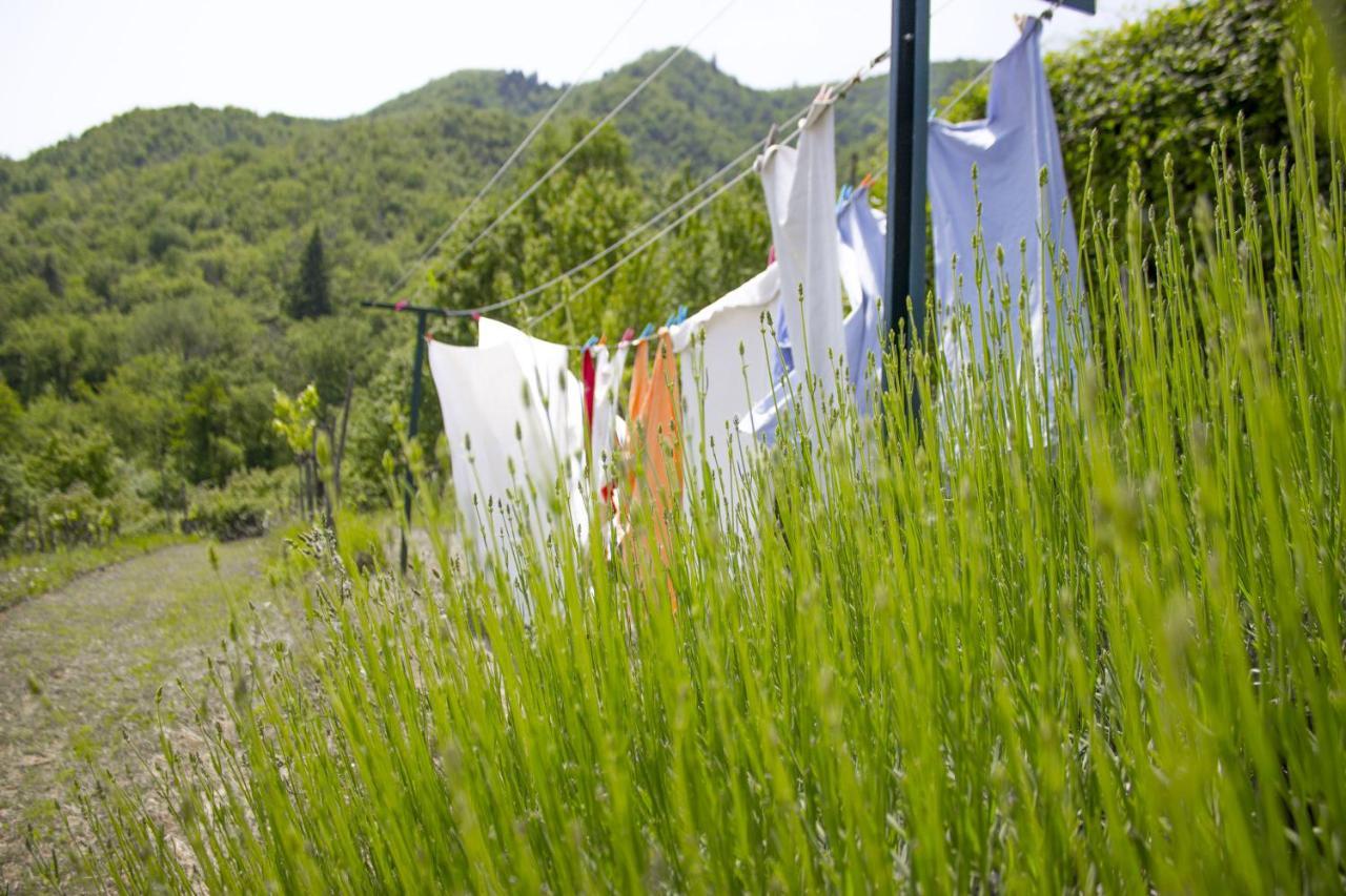 Villa Porcigliano Olive Grove Polcanto Eksteriør bilde
