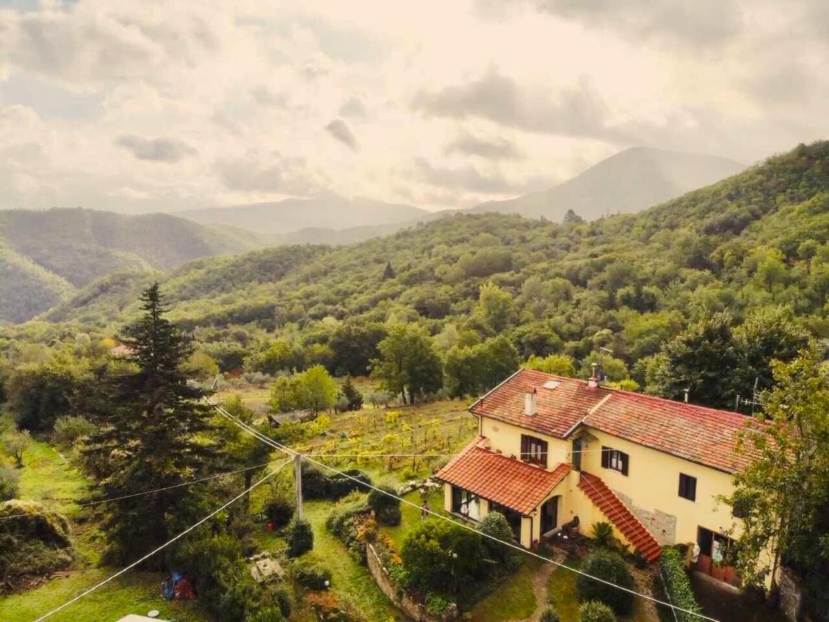 Villa Porcigliano Olive Grove Polcanto Eksteriør bilde